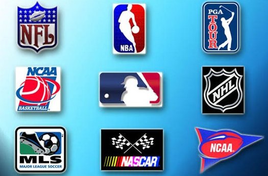 Sports We Carry on Our TV's